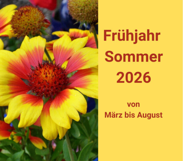 Kopie von FS2026 (103 x 214 mm)